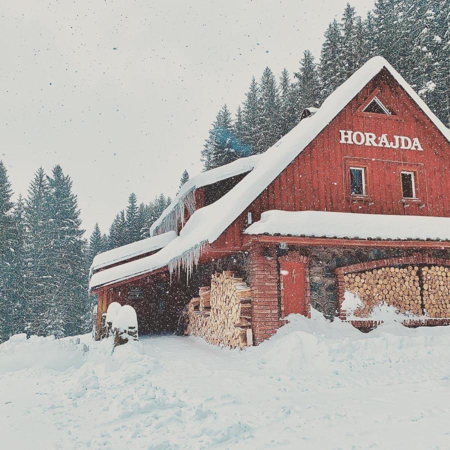 Penzion Horajda Hotel Vítkovice Exterior foto